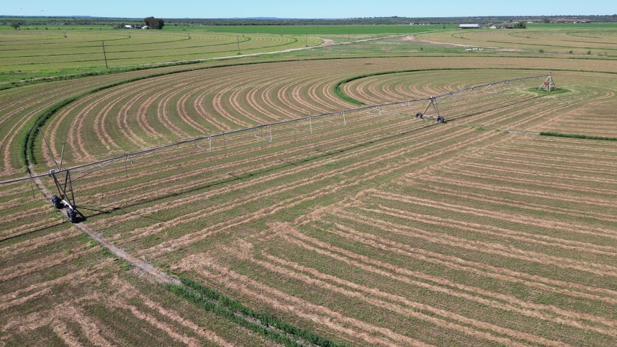 0 Bedroom Property for Sale in Douglas Rural Northern Cape